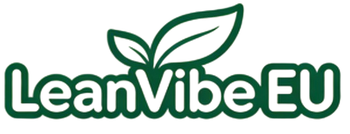 LeanVibe EU
